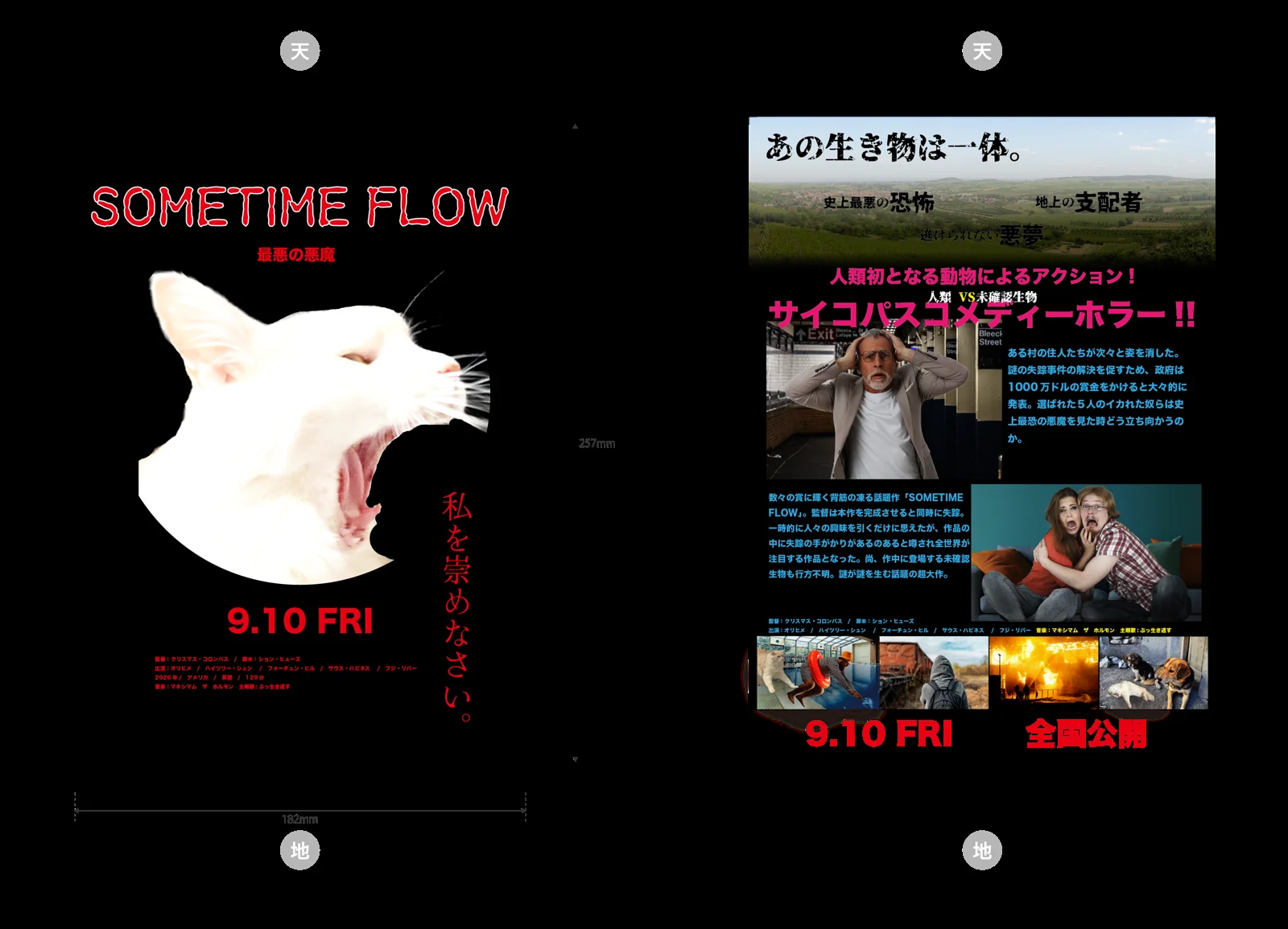 映画フライヤー 制作資料 3